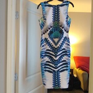 ASOS petit body con spine print dress size US small